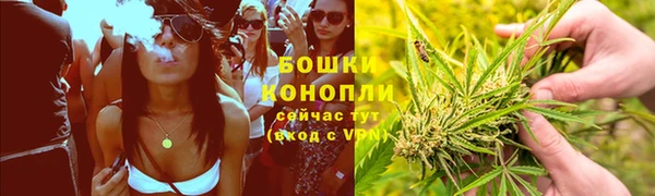 СК Бронницы