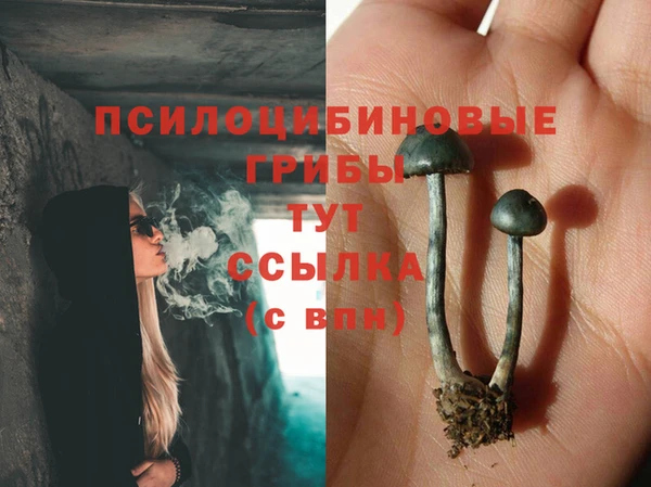 PSILOCYBIN Володарск